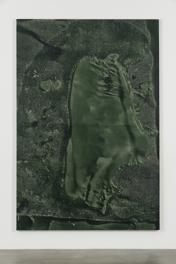 Daniel Lefcourt, Cast (Remote Sensing), 2015. Pigment PBK31 et uréthane sur toile.  Courtesy Daniel Lefcourt ; Campoli Presti, London / Paris.